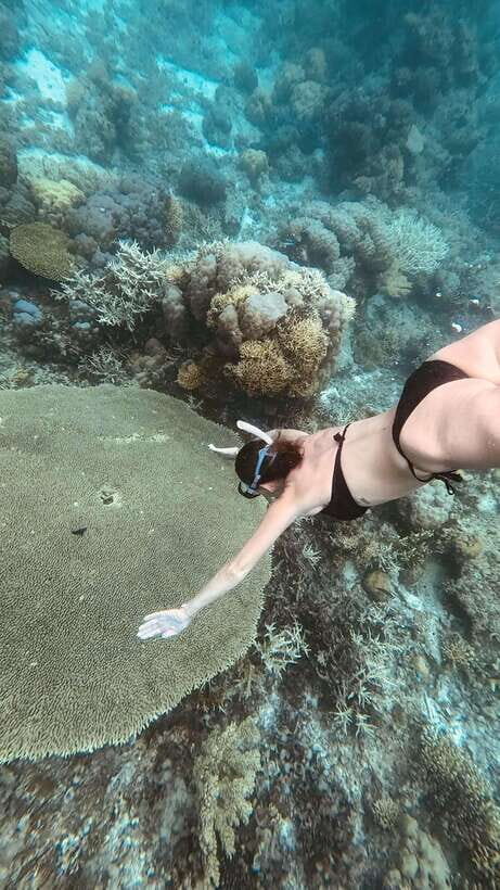 Siquijor: Freediving Adventure with Lunch and Beach Time - Your day on Siquijor, from pickup to sunset