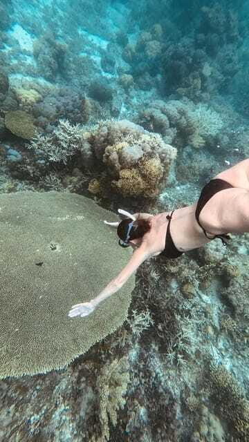 Siquijor: Freediving Adventure with Lunch and Beach Time - Price and value: what $108 covers, and what to double-check